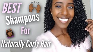 BEST SHAMPOOS FOR CURLY HAIR  Natural Hair [upl. by Ulphia]