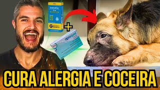 COMO CURAR ALERGIA NA PELE D CACHORRO MELHOR TRATAMENTO PARA CÃES ALÉRGICOS E SENSÍVEIS COM COCEIRA [upl. by Olnee542]