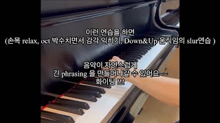 ChopinScherzos no2왼손 연습방법 꿀팁 [upl. by Zarah]