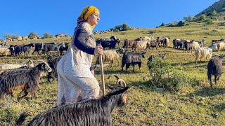 Rural Mountain Village  Nomadic Daily Life  Simple Living [upl. by Ahsyle]