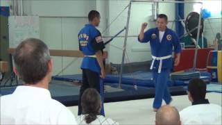 Hapkido kick [upl. by Tristas]