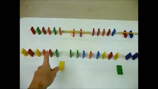 Saltatory conduction demo using dominoes [upl. by Ruhnke]