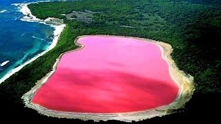 Lake Hillier Pink Lake Western Australias Most Bright Sight  Go Greeny [upl. by Ahsekar135]