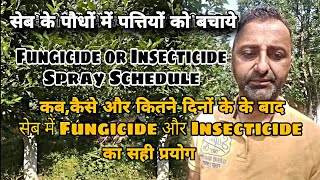 सेब के पौधों में Fungicide और Insecticide का सही प्रयोग। Fungicide and Insecticide Spray usages in🍎🍏 [upl. by Elad]