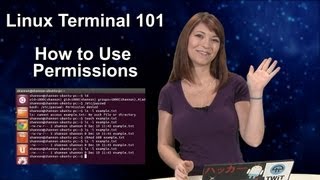 HakTip  Linux Terminal 101 How to Use Permissions [upl. by Ahsauqal]