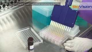 Cell Proliferation Assay Kit Video  Biovision Inc [upl. by Annabel]