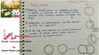 Theta model and rolling circle model of DNA replication in prokaryotes [upl. by Eilyah]