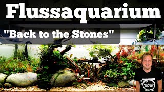 FLUSSAQUARIUM quotBack to the Stonesquot [upl. by Anirehc]