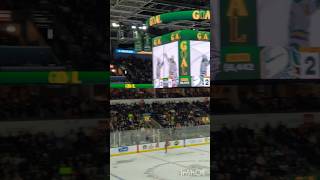 London Knights goal horn live [upl. by Kingston380]