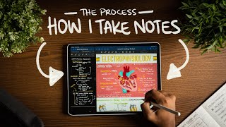 How I Take Notes with My iPad Pro in Lectures Notability amp GoodNotes  Free Template [upl. by Clarkson]