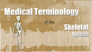 Medical Terminology of the Skeletal System [upl. by Marutani]