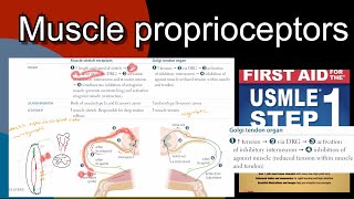 Muscle proprioceptors in HindiUrdu by first aid for USMLE step 1 [upl. by Olvan]