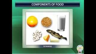 Class 6 Science Chapter 2 Components of Food  Food Components and their Role in Body [upl. by Merilee960]