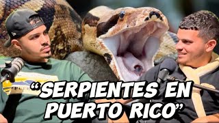 REVELA TODO SOBRE LAS SERPIENTES QUE HA CAPTURADO EN PUERTO RICO  GONGO FISHING PR [upl. by Yknip982]