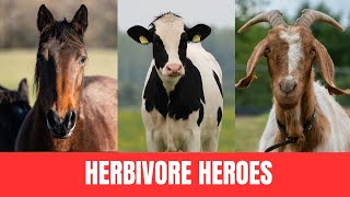 Herbivore Heroes Meet the PlantEating Animals [upl. by Nairadas]