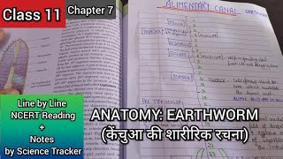 🔴 CL11  CH7  Anatomy of Earthworm  Alimentary canal neet2022 neet2023 [upl. by Hidie]