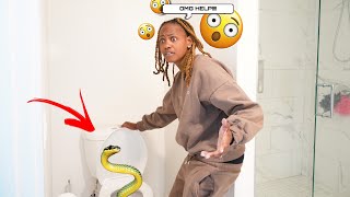 EPIC SNAKE SCARE PRANK ON WIFE  Traumatized for life [upl. by Clarhe]