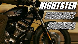 HARLEY NIGHTSTER 975 EXHAUST SOUNDS  STOCK AND AFTERMARKET [upl. by Haikezeh]