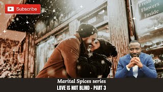 MARITAL SPICES  LOVE IS NOT BLIND  Part 3 [upl. by Griggs]