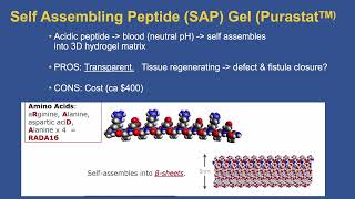 Lecture ECOS 2024 quotMost recent technological advances in endoscopyquot [upl. by Horowitz]