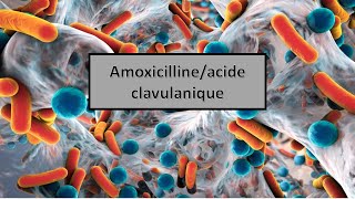 quotles médicaments génériques en Algérie quotAmoxicillineacide clavulanique [upl. by Notsej]