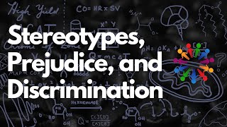 Whats the Difference Between Stereotypes Prejudice and Discrimination  MCAT [upl. by Sidell]