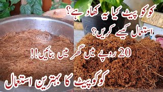 How to Make Cocopeat at Home  Cocopeat Banane ka Asaan Tarika  How to Use Cocopeat in Soil  RMG [upl. by Louth]