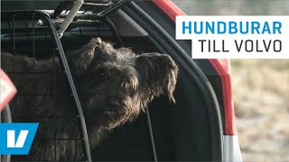 Hundburar till Volvo [upl. by Marleen]