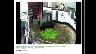 Ballymahon Cattle Mart Live Streaming [upl. by Batholomew]