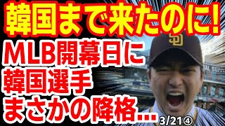 大谷にデッドボール発言したあの韓国人選手､パドレス移籍し凱旋帰郷のハズだったのに 韓国の反応 24320報道【ニュース･スレまとめ･海外の反応･韓国の反応】MLB ドジャース 開幕戦 [upl. by Dimitris61]