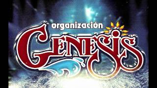 ORGANIZACION GENESIS  SAN LUIS POTOSI [upl. by Wan]