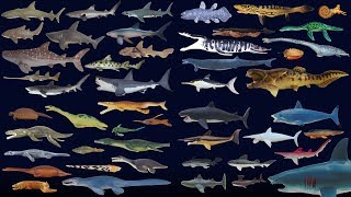 Sharks and Prehistoric Sea Life Collection  The Kids Picture Show Fun amp Educational [upl. by Nahgam]