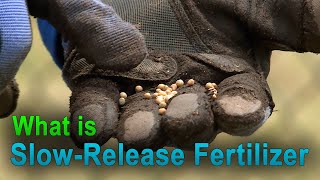 How SlowRelease Fertilizer Works – This Week in the Garden [upl. by Hsan]