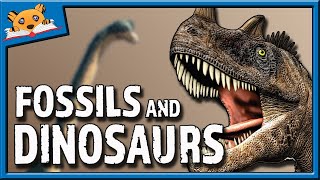 📖 Story Time 🦖 Fossils and Dinosaurs 🦖  TigerBear BedTime Stories Read Aloud [upl. by Antonio20]