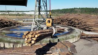 Circle crane at Georgia sawmill unloading log truck [upl. by Dilaw494]