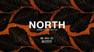 FREE  quotNorthquot  Wizkid x Popcaan x Jhus Type Beat  Free Beat  Afrobeats Instrumental 2021 [upl. by Fulmis]