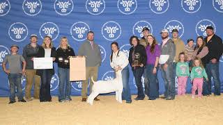 2024 Winners Circle Wether Dam  Lot 1 [upl. by Ahsinned]