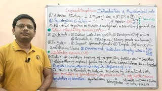 Endocrine Gland Part08  Gonadotropin Hormone  Physiology amp Pharmacology of Gonadotropin [upl. by Astrix]