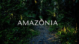 Amazônia  por Alessandro Ossola [upl. by Annavoeg951]