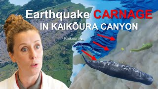 Earthquake Carnage In Kaikōura Canyon [upl. by Ffirahs40]