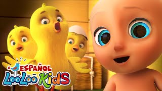 🐤🐥Los Pollitos Dicen Pio Pio  Conejitos dormilones  Canciones Infantiles para niños  LooLoo [upl. by Geordie]