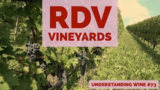 RDV Vineyards A Short Tour of an Elite Virginia Winery [upl. by Sheff]