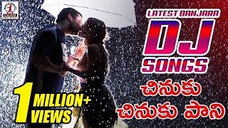 Latest Banjara DJ Songs  Chinuku Chinuku Pani DJ Song  Lalitha Audios And Videos [upl. by Lledo]