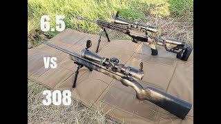 308 vs 65 creedmoor at 1000 yards [upl. by Nnylirret]