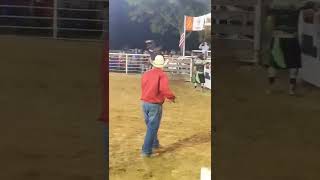 Pike County Fair Bull Ride 500 Hundred Dollar Bounty Bull Buck Off [upl. by Preiser13]