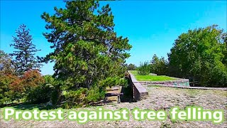 Pine trees with long needles Walk in The Kalemegdan Park Visual Walk Balkans Belgrade Serbia [upl. by Walcott523]