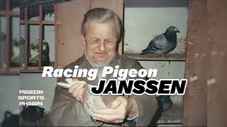 Janssen Pigeon pigeon pigeonracing kalapati kalapatids kabootar kabutar racingpigeon janssen [upl. by Carbrey]