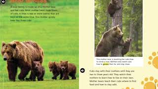 2nd Grade McGraw Hill Wonders U2 W4 Baby Bears Story Selection [upl. by Yelich9]