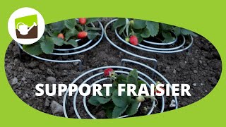 Comment faire pour que les fraises ne pourrissent pas  Equipezvous de support fraisier hors sol [upl. by Annahsed]