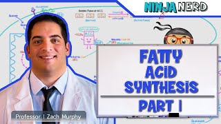 Metabolism  Fatty Acid Synthesis Part 1 [upl. by Svetlana]